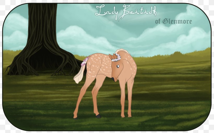 Giraffe Horse Ecosystem Camel Grassland, PNG, 1024x640px, Giraffe, Camel, Camel Like Mammal, Cartoon, Ecosystem Download Free