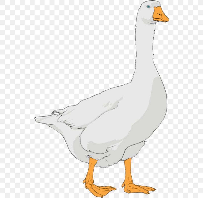 Goose Clip Art Openclipart Free Content Image, PNG, 548x800px, Goose, Beak, Bird, Canada Goose, Chicken Download Free