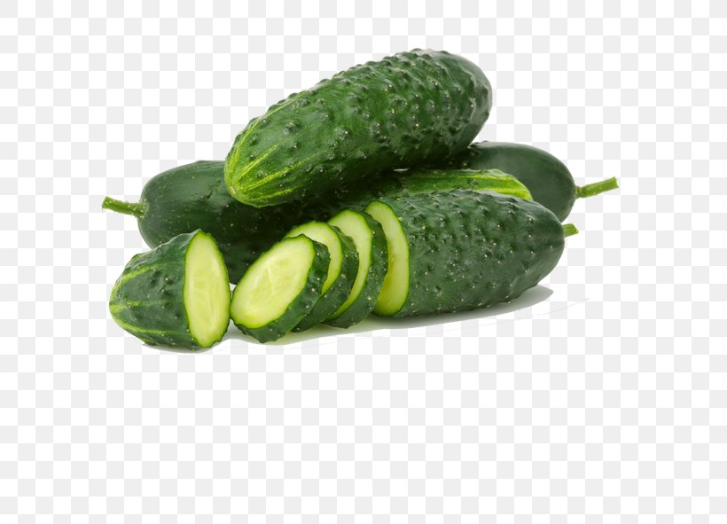 Juicer Cucumber Spreewald Gherkins Vegetable, PNG, 591x591px, Juice, Armenian Cucumber, Cucumber, Cucumber Gourd And Melon Family, Cucumis Download Free
