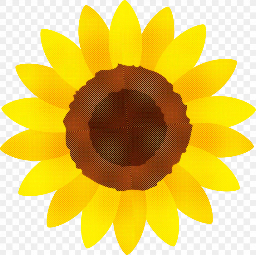 Sunflower, PNG, 3000x2991px, Sunflower, Asterales, Cartoon, Daisy Family, Flower Download Free