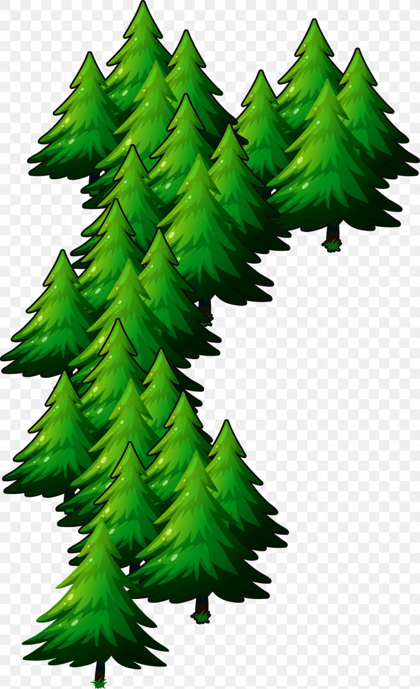 Christmas Pine, PNG, 1300x2134px, Deodar Cedar, Cedar, Christmas, Christmas Decoration, Christmas Tree Download Free