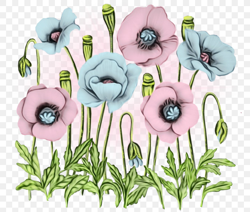 Floral Design, PNG, 777x694px, Watercolor, Anemone, Biology, Cut Flowers, Floral Design Download Free