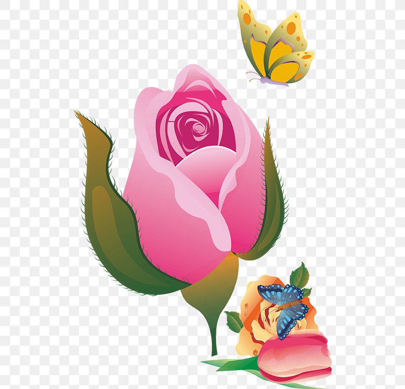 Garden Roses Flower, PNG, 524x788px, Garden Roses, Art, Cut Flowers, Drawing, Flora Download Free