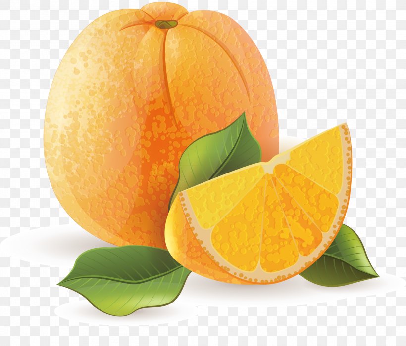 Orange Juice Tangerine Mandarin Orange, PNG, 2521x2153px, Orange Juice, Bitter Orange, Chenpi, Citric Acid, Citron Download Free