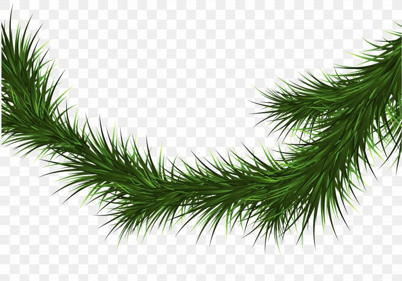 Spruce Fir Pine Christmas Tree Branch, PNG, 5000x3500px, Spruce, Bombka, Branch, Christmas, Christmas Ornament Download Free