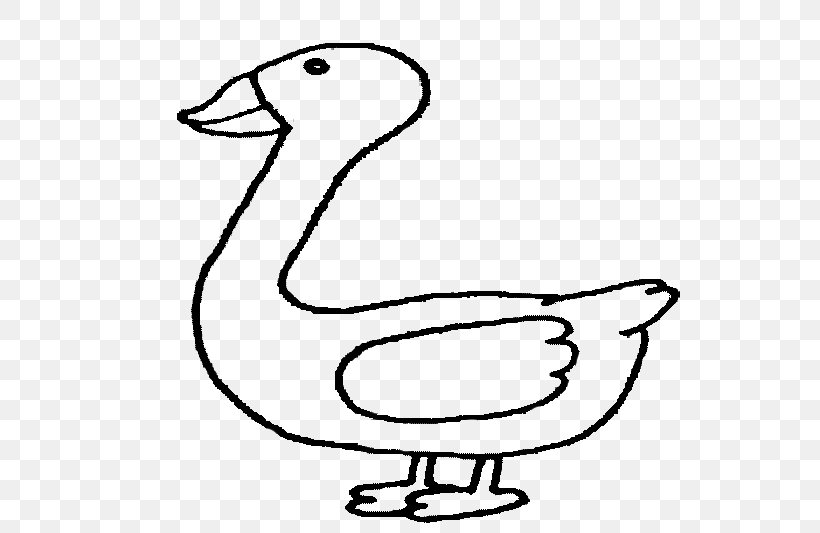 Duck Bird Goose Cygnini Anatidae, PNG, 570x533px, Duck, Anatidae, Animal, Area, Art Download Free