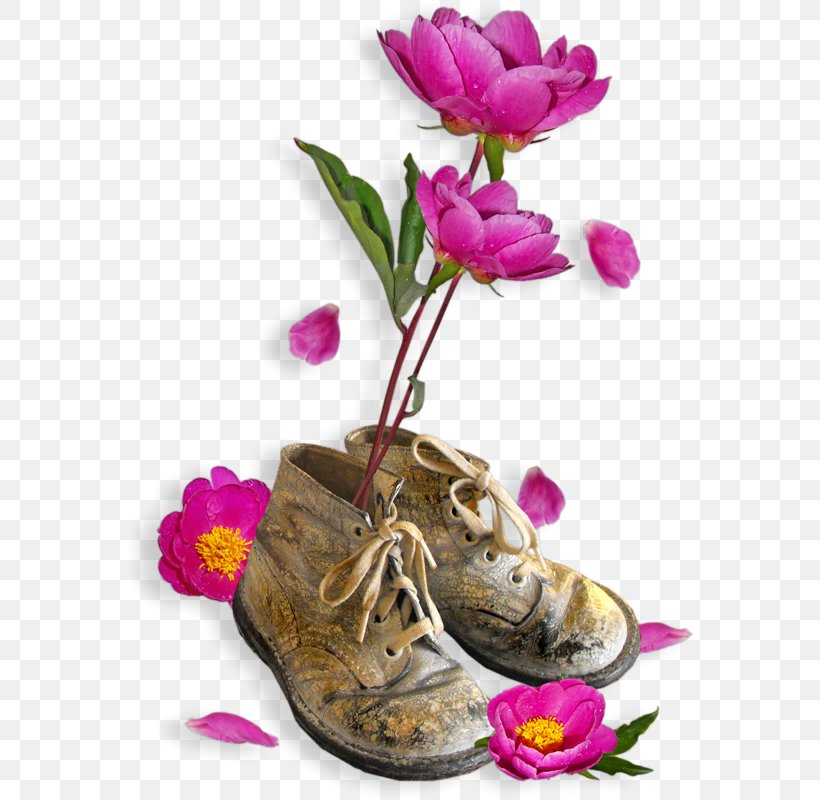Floral Design Shoe Clip Art, PNG, 568x800px, Floral Design, Creativity, Designer, Floristry, Flower Download Free