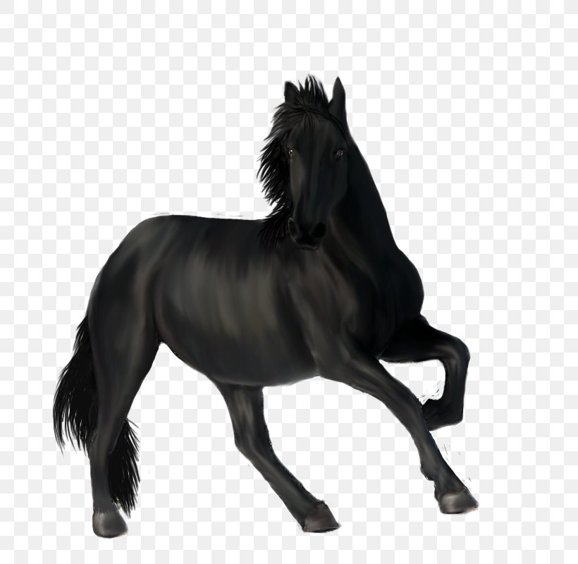 Mane Mustang Stallion Pony Mare, PNG, 800x800px, Mane, Animal Figure, Black And White, Bridle, Halter Download Free