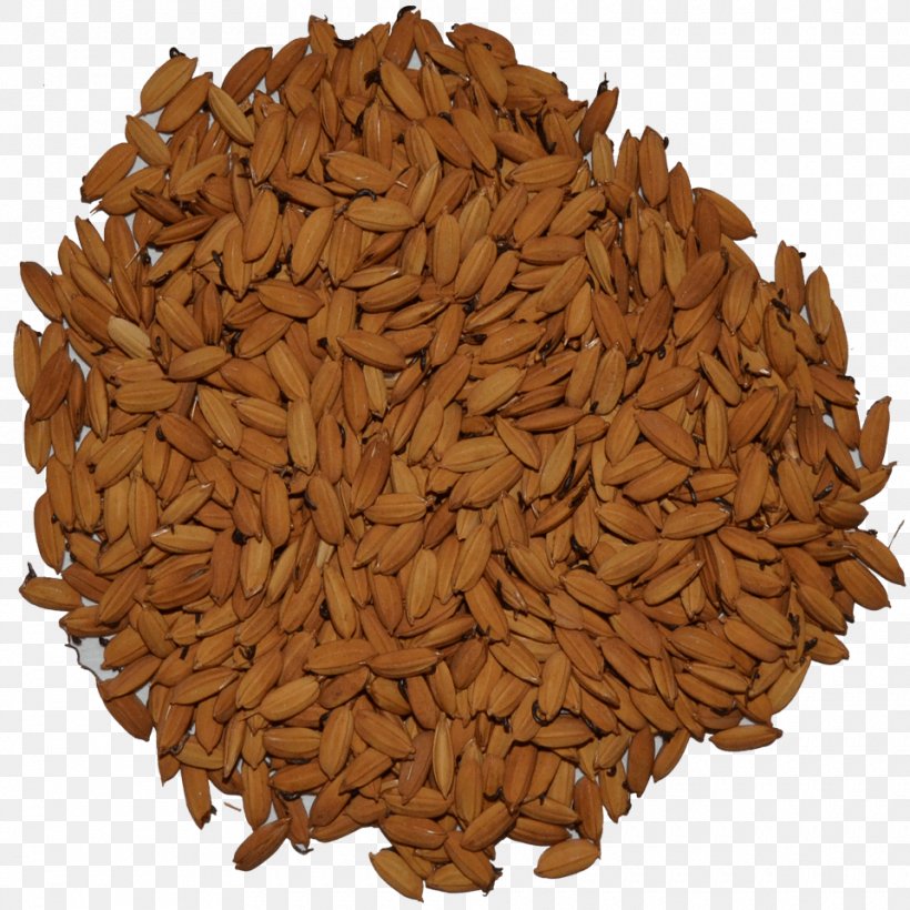 Oat Malt Porter Cereal Brown Rice, PNG, 960x960px, Oat, Beer Brewing Grains Malts, Brown Rice, Cereal, Cereal Germ Download Free