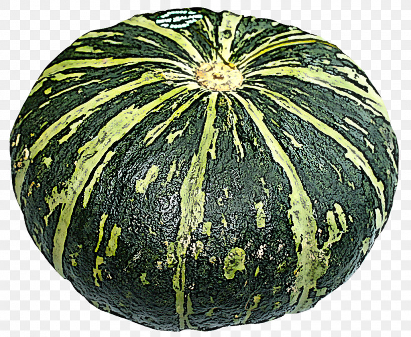 Pumpkin, PNG, 1022x839px, Cucurbita, Acorn Squash, Calabaza, Cucumber Gourd And Melon Family, Figleaf Gourd Download Free