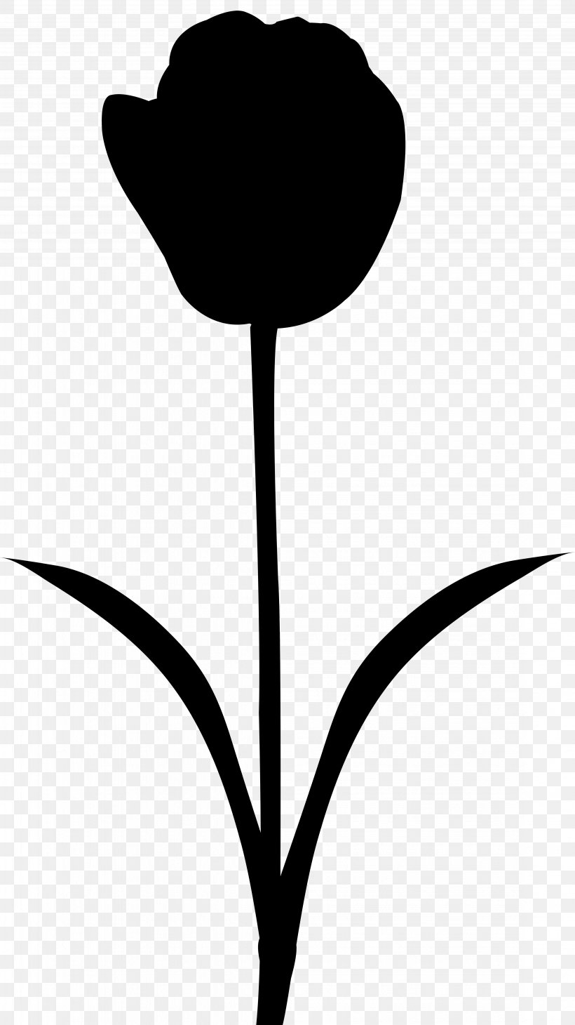 Clip Art Leaf Plant Stem Silhouette Line, PNG, 4493x8000px, Leaf, Anthurium, Blackandwhite, Botany, Flower Download Free