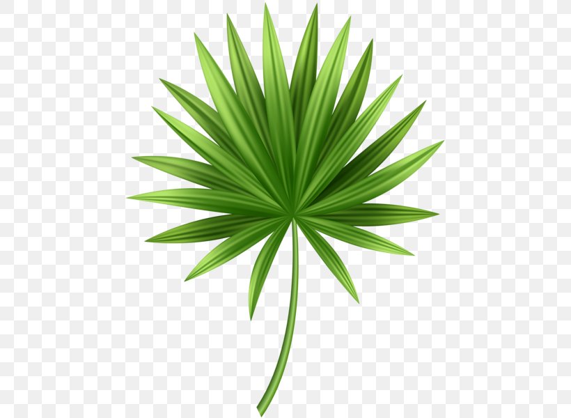 Clip Art Image Palm Trees Openclipart, PNG, 465x600px, Palm Trees, Arecales, Art, Art Museum, Grass Download Free