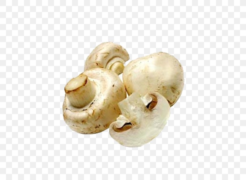 Common Mushroom Edible Mushroom, PNG, 600x600px, Common Mushroom, Agaricaceae, Agaricus, Champignon Mushroom, Edible Mushroom Download Free