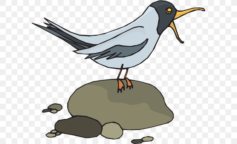 Gulls Bird Clip Art, PNG, 600x500px, Gulls, Artwork, Beak, Bird, Blog Download Free