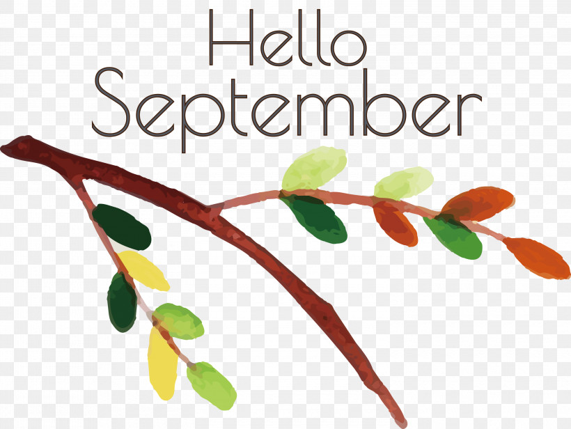 Hello September September, PNG, 3000x2254px, Hello September, Biology, Geometry, Leaf, Line Download Free