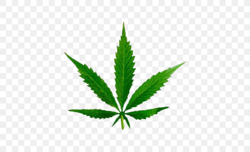 Medical Cannabis Tetrahydrocannabinol Cannabinoid Legality Of Cannabis, PNG, 500x500px, Cannabis, Cannabinoid, Cannabis Cultivation, Cannabis Sativa, Cannabis Shop Download Free