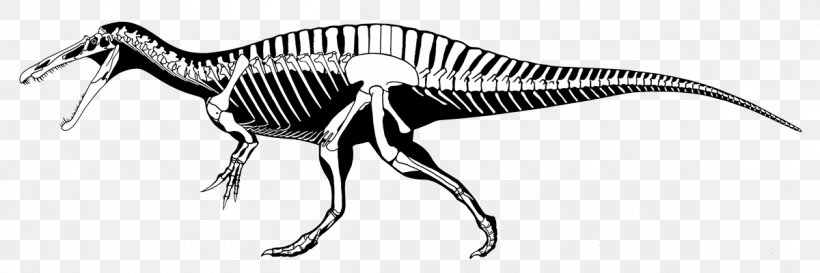 Spinosaurus Tyrannosaurus Suchomimus Ichthyovenator Baryonyx, PNG, 1200x400px, Spinosaurus, Allosaurus, Baryonyx, Bipedalism, Black And White Download Free