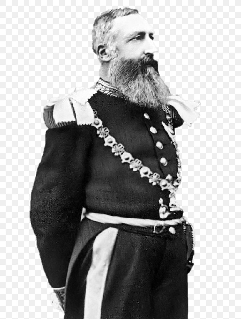 Atrocities In The Congo Free State Monarchy Of Belgium Belgian Congo, PNG, 724x1085px, Congo Free State, Arm, Beard, Belgian Congo, Belgium Download Free