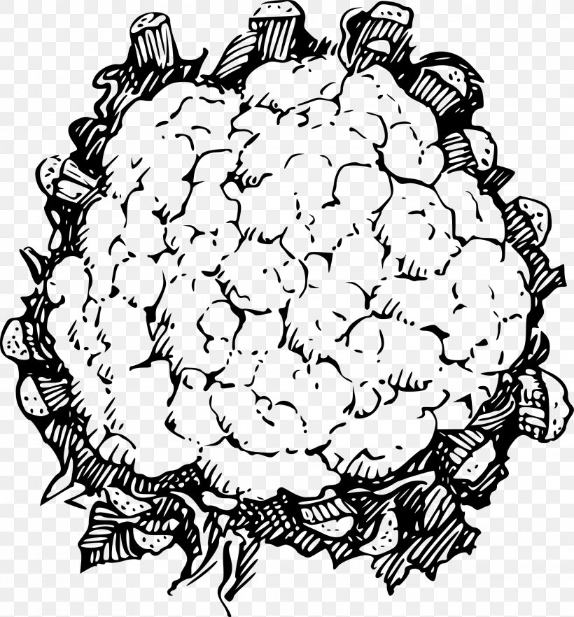 Cauliflower Line Art Clip Art, PNG, 2229x2400px, Cauliflower, Area, Artwork, Black And White, Broccoli Download Free