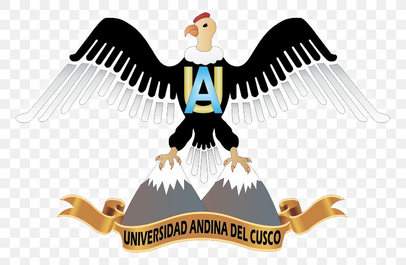 Faculty Of Engineering Of The Andean University Of Cusco National University Of Saint Anthony The Abbot In Cuzco Provincial Municipality Of Cusco Colegio Arquidiocesano San Antonio Abad, PNG, 806x535px, University, Andes, Beak, Bird, Bird Of Prey Download Free
