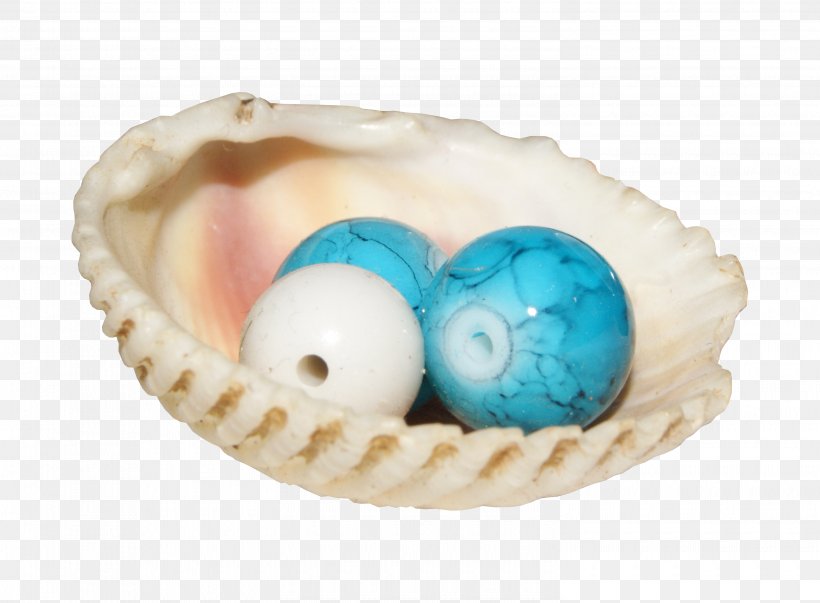 Pearl Designer Seashell, PNG, 2990x2200px, Pearl, Designer, Easter Egg, Egg, Mollusc Shell Download Free