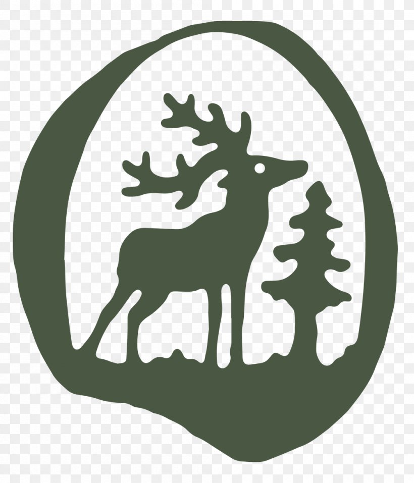 Reindeer Logo Green Antler Silhouette, PNG, 1000x1168px, Reindeer, Antler, Black, Black And White, Deer Download Free