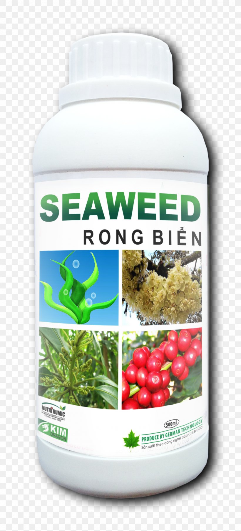 Seaweed Algae Dracontomelon Fruit Ingredient, PNG, 1690x3720px, Seaweed, Algae, Amino Acid, Business, Chelation Download Free