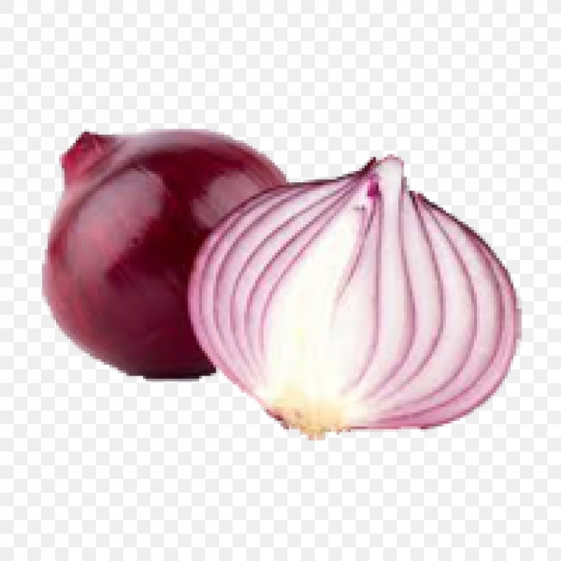 Yellow Onion Shallot French Onion Soup Onion Ring Red Onion, PNG