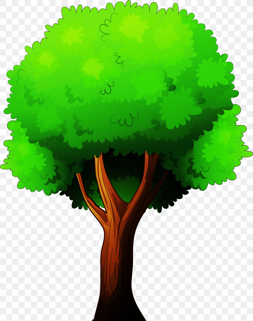 Green Tree Plant Grass Symbol, PNG, 2360x3000px, Green, Grass, Plant, Symbol, Tree Download Free