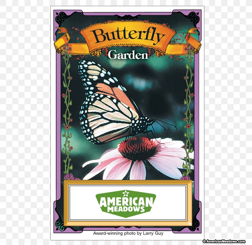 Monarch Butterfly Brush-footed Butterflies Meadow Seed, PNG, 800x800px, Monarch Butterfly, Advertising, Brush Footed Butterfly, Brushfooted Butterflies, Bulb Download Free