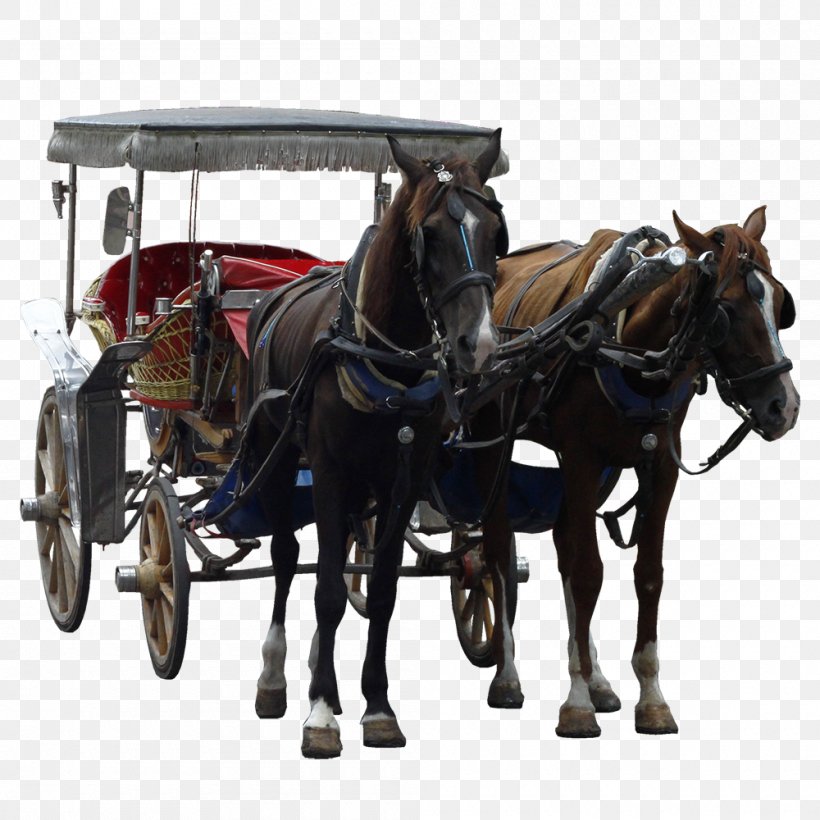 Mule Horse Harnesses Horse And Buggy Carriage, PNG, 1000x1000px, Mule, Bridle, Carriage, Cart, Chariot Download Free