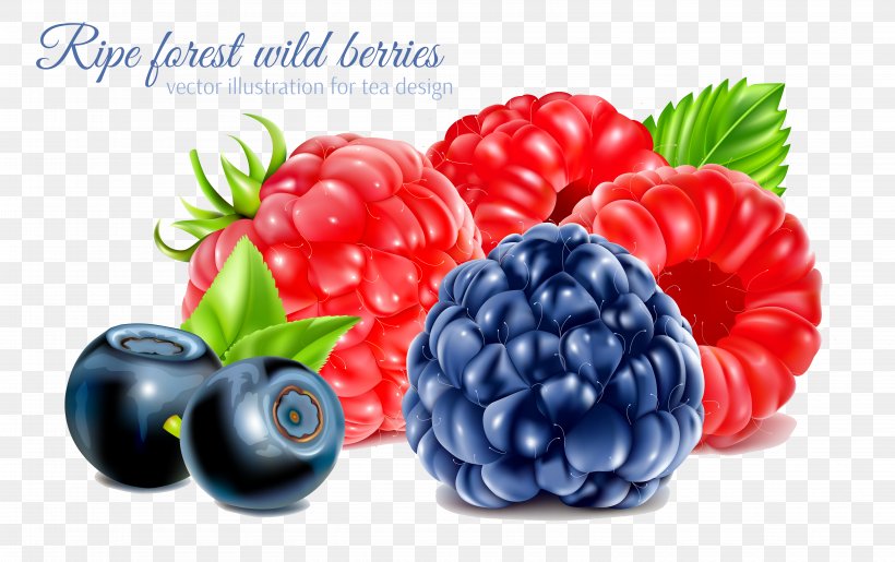Frutti Di Bosco Raspberry Fruit, PNG, 6238x3925px, Berry, Bilberry, Blackberry, Food, Fruit Download Free