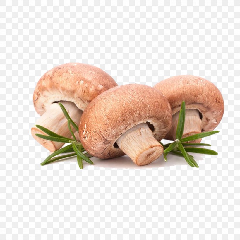 Kasha Edible Mushroom Fungus Stock Photography, PNG, 1500x1500px, Kasha, Agaricaceae, Agaricus, Ahi, Animal Source Foods Download Free