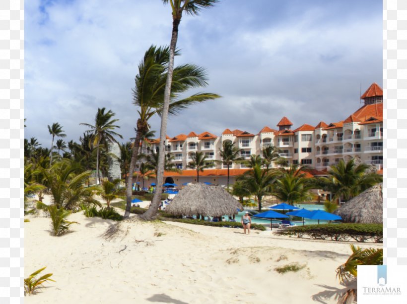 Occidental Caribe Hotel All-inclusive Resort Beach, PNG, 979x734px, Hotel, Allinclusive Resort, Bavaro, Bay, Beach Download Free