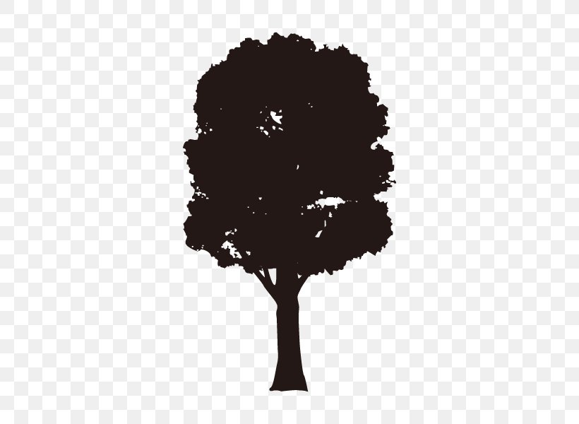 Tree Silhouette European Ash Branch Drawing, PNG, 600x600px, Tree, Ash, Aspen, Black And White, Branch Download Free