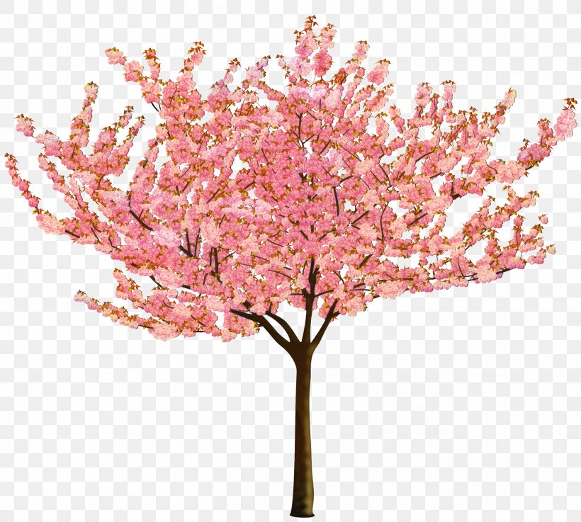 Cherry Blossom Cerasus Flower Image, PNG, 2533x2277px, Cherry Blossom, Artificial Flower, Blossom, Branch, Cerasus Download Free