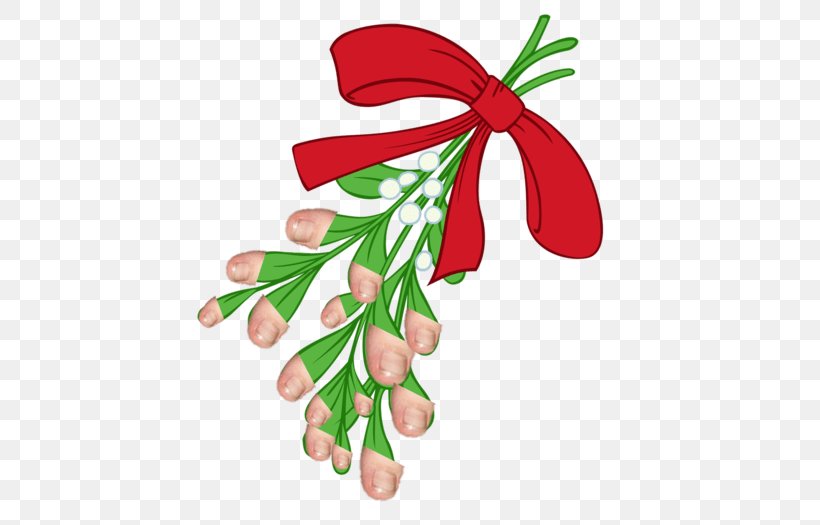 Clip Art Mistletoe Free Content Image, PNG, 500x525px, Mistletoe, Branch, Christmas Day, Christmas Mistletoe, Christmas Ornament Download Free