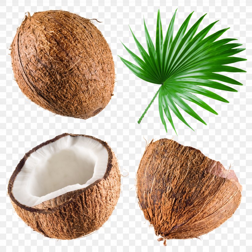 Coconut Milk Coconut Water Stock Photography Royalty-free, PNG, 4940x4940px, Coconut Milk, Arecaceae, Coconut, Coconut Oil, Coconut Water Download Free
