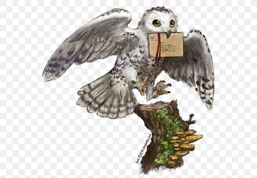 Harry Potter And The Philosopher's Stone Hedwig Owl Hogwarts, PNG, 600x568px, Harry Potter, Accipitriformes, Art, Beak, Bird Download Free