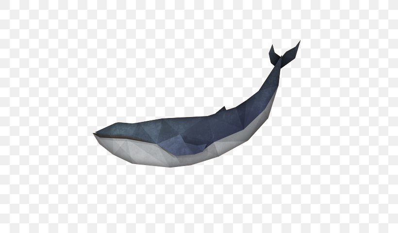 Whale 3d Model Free Download