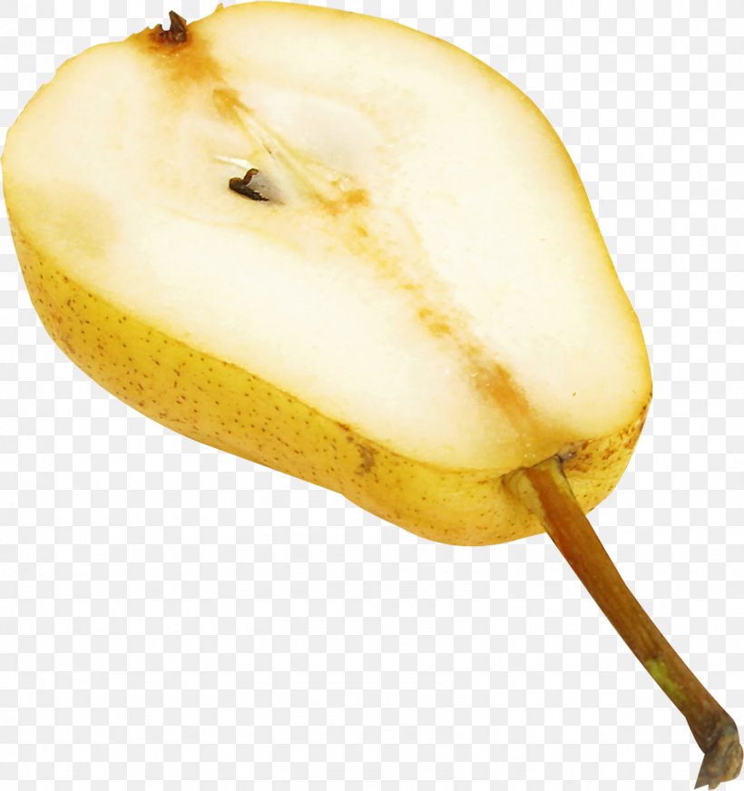 Pear, PNG, 1597x1699px, Pear, Food, Fruit Download Free
