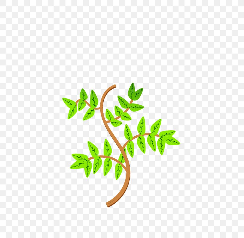 Clip Art Vector Graphics Branch Openclipart, PNG, 566x800px, Branch, Botany, Flower, Flowering Plant, Leaf Download Free