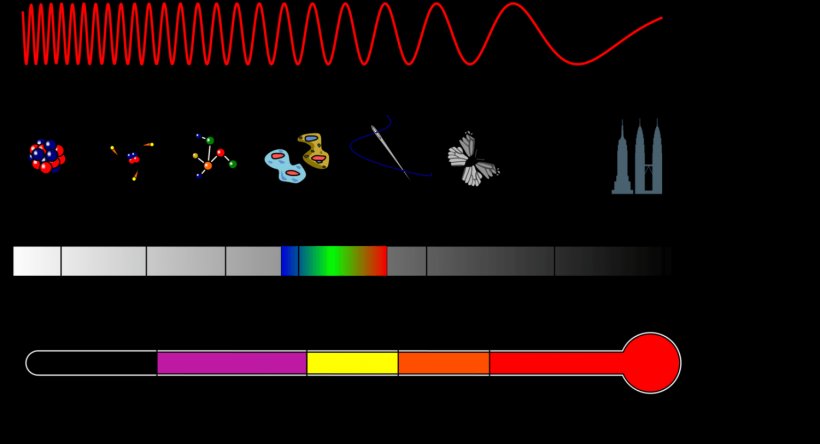 Electromagnetic Spectrum Light Electromagnetic Radiation Wavelength, PNG, 1500x814px, Electromagnetic Spectrum, Area, Brand, Diagram, Electromagnetic Radiation Download Free