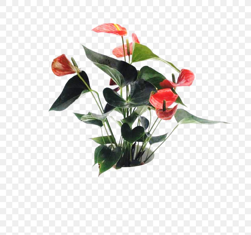 Floral Design Cut Flowers Artificial Flower, PNG, 768x768px, Floral Design, Artificial Flower, Cut Flowers, Family, Flora Download Free
