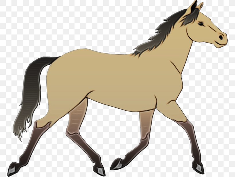 Horse Animal Figure Mane Mare Przewalski's Horse, PNG, 768x616px, Watercolor, Animal Figure, Foal, Horse, Mane Download Free
