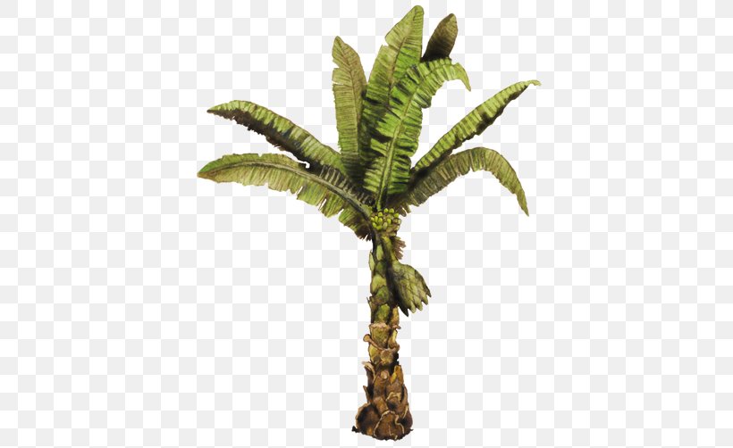Flowerpot Coconut Arecaceae Howea Forsteriana, PNG, 750x502px, Flowerpot, Arecaceae, Arecales, Banana, Coconut Download Free