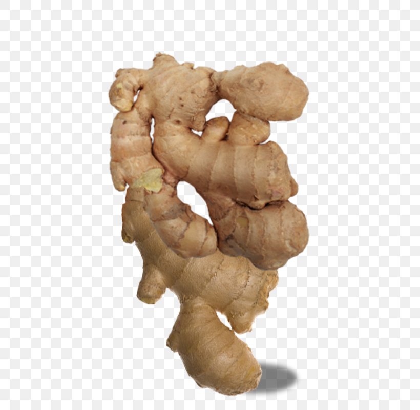 Ginger Download Icon, PNG, 600x800px, Ginger, Condiment, Digital Image, Food, Root Vegetable Download Free