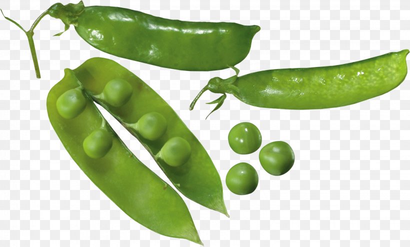 Pea Soup Split Pea Pulseless Electrical Activity Vegetable, PNG, 3058x1844px, Pea, Bean, Bell Peppers And Chili Peppers, Bird S Eye Chili, Chili Pepper Download Free