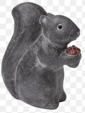 Acorn - Rodent Squirrel Animal Mammal Sculpture PNG
