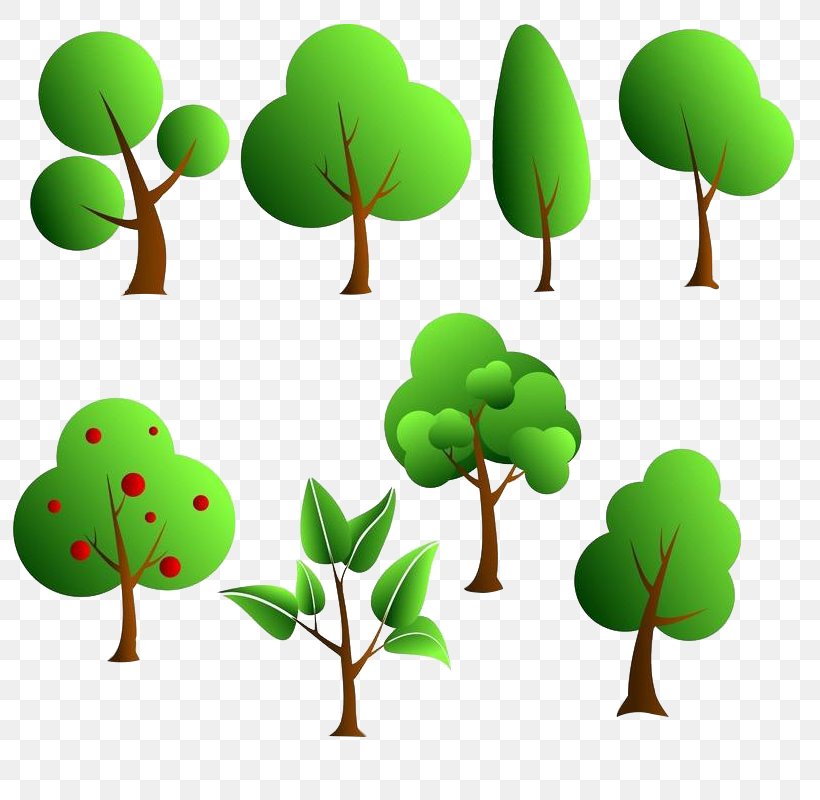 Vector Graphics Tree Illustration Image Design, PNG, 800x800px, Tree, Botany, Drawing, Flower, Green Download Free